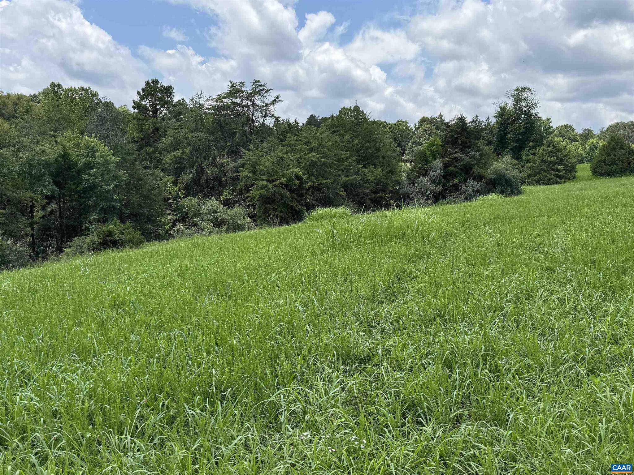 Howardsville, VA 24562,TBD FISHPOND RD