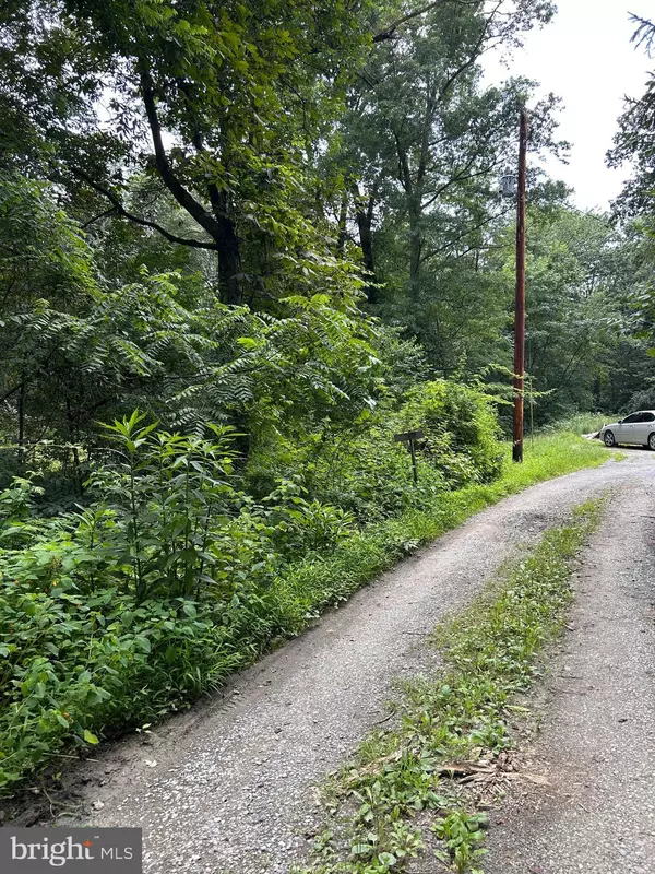 Shippensburg, PA 17257,0 MACLAYS MILL ROAD