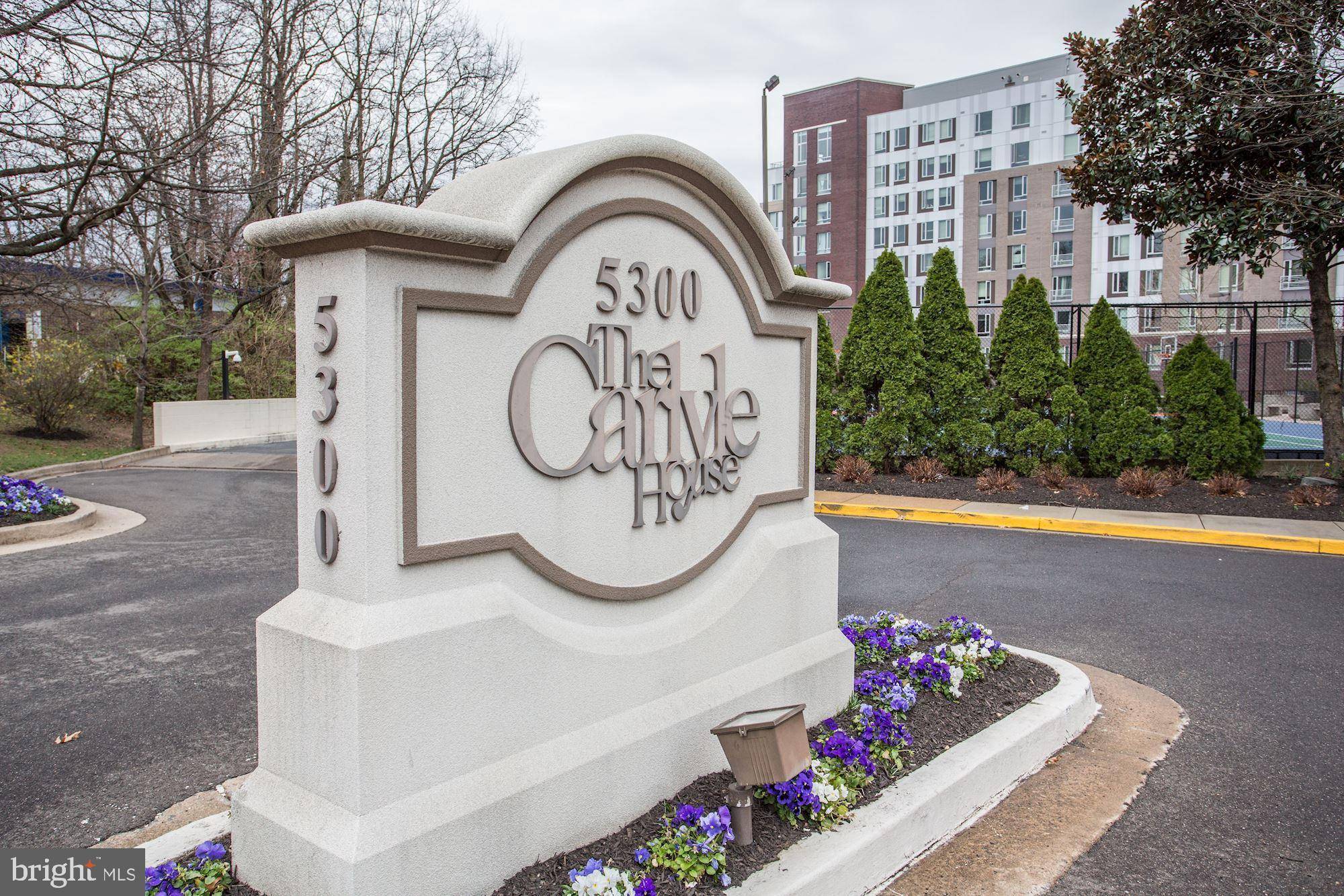 Arlington, VA 22204,5300 COLUMBIA PIKE #1008