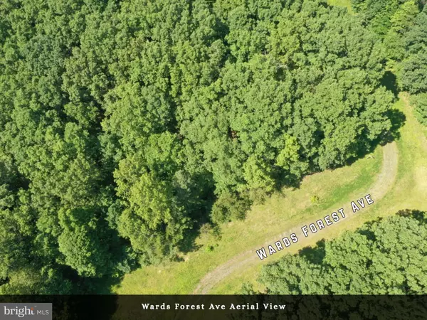 Beaverdam, VA 23015,LOT 1 - WARDS FOREST AVE