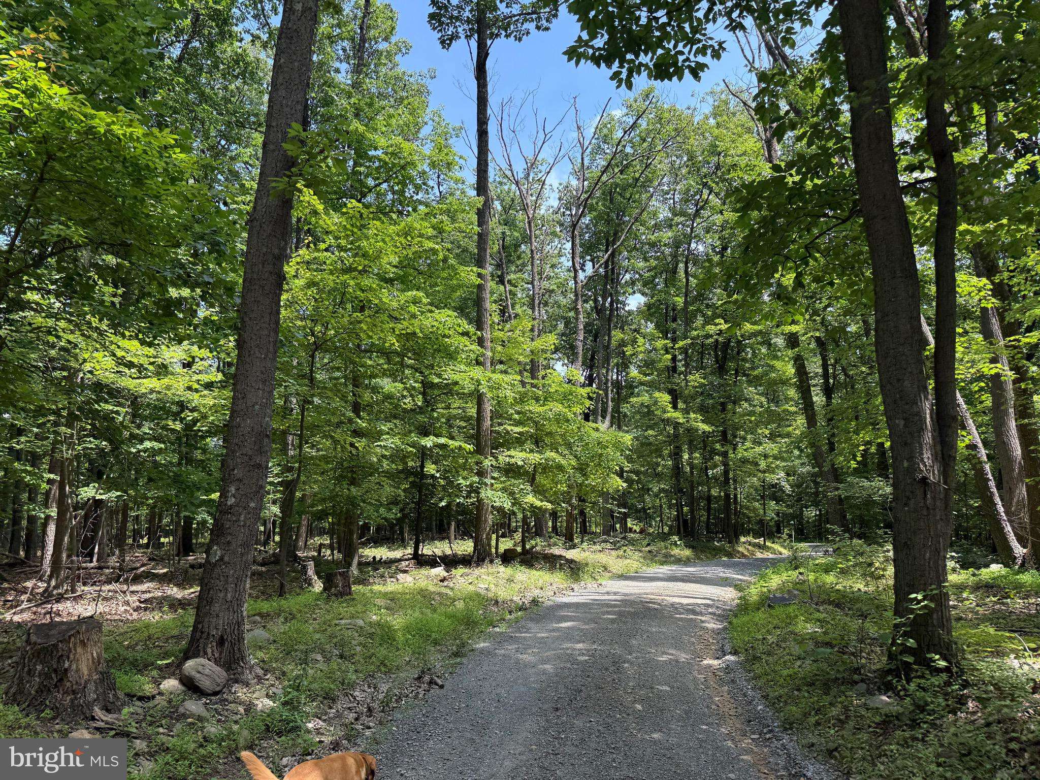 TBD APPALACHIAN TRAIL RD, Round Hill, VA 20141
