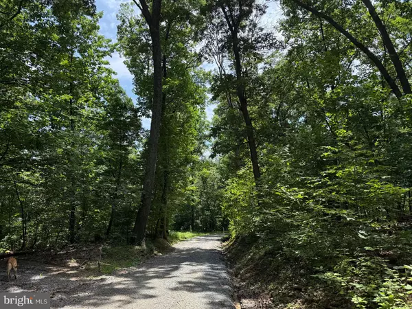 Round Hill, VA 20141,TBD APPALACHIAN TRAIL RD