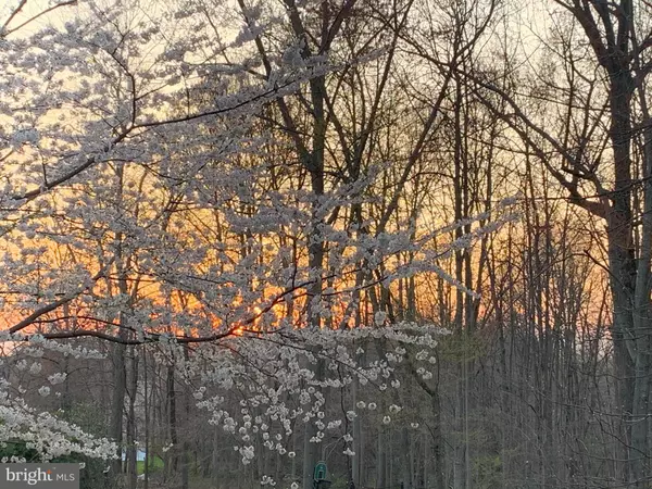 Sandy Spring, MD 20860,16720 ALEXANDER MANOR DR