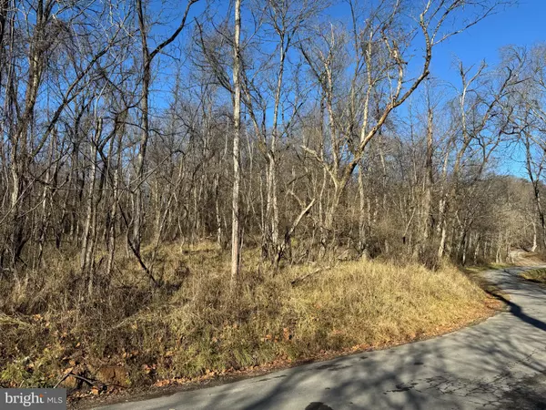 Great Cacapon, WV 25422,MAGNOLIA RD