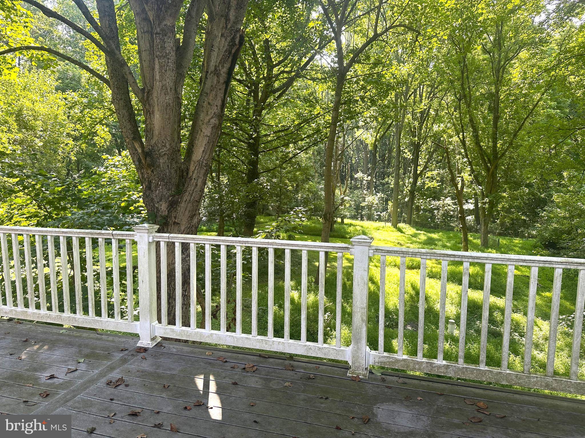 Woodstock, MD 21163,10831 SUMMIT AVE