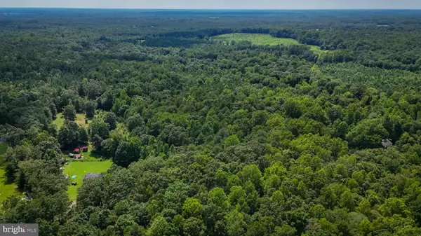 Woodford, VA 22580,LOT 5 BULLCHURCH RD
