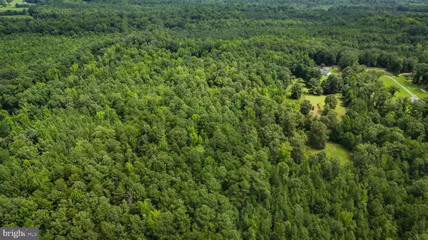 Woodford, VA 22580,LOT 5 BULLCHURCH RD