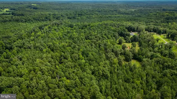 Woodford, VA 22580,LOT 5 BULLCHURCH RD