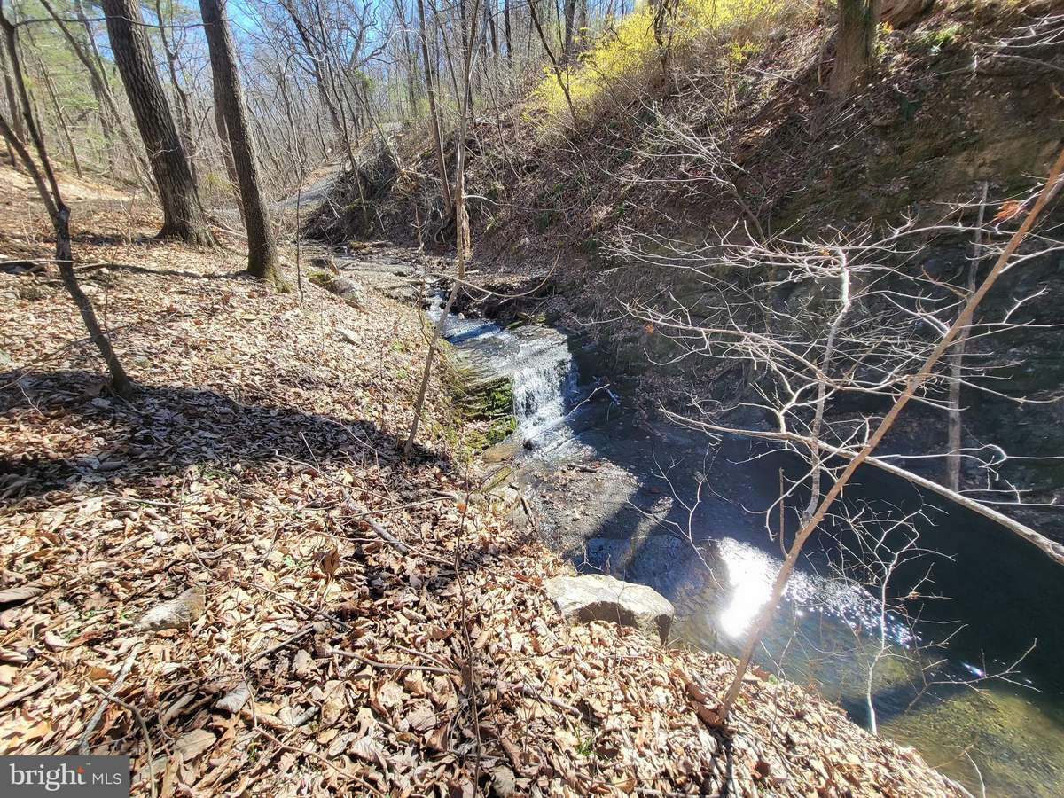 Edinburg, VA 22824,EDINBURG GAP