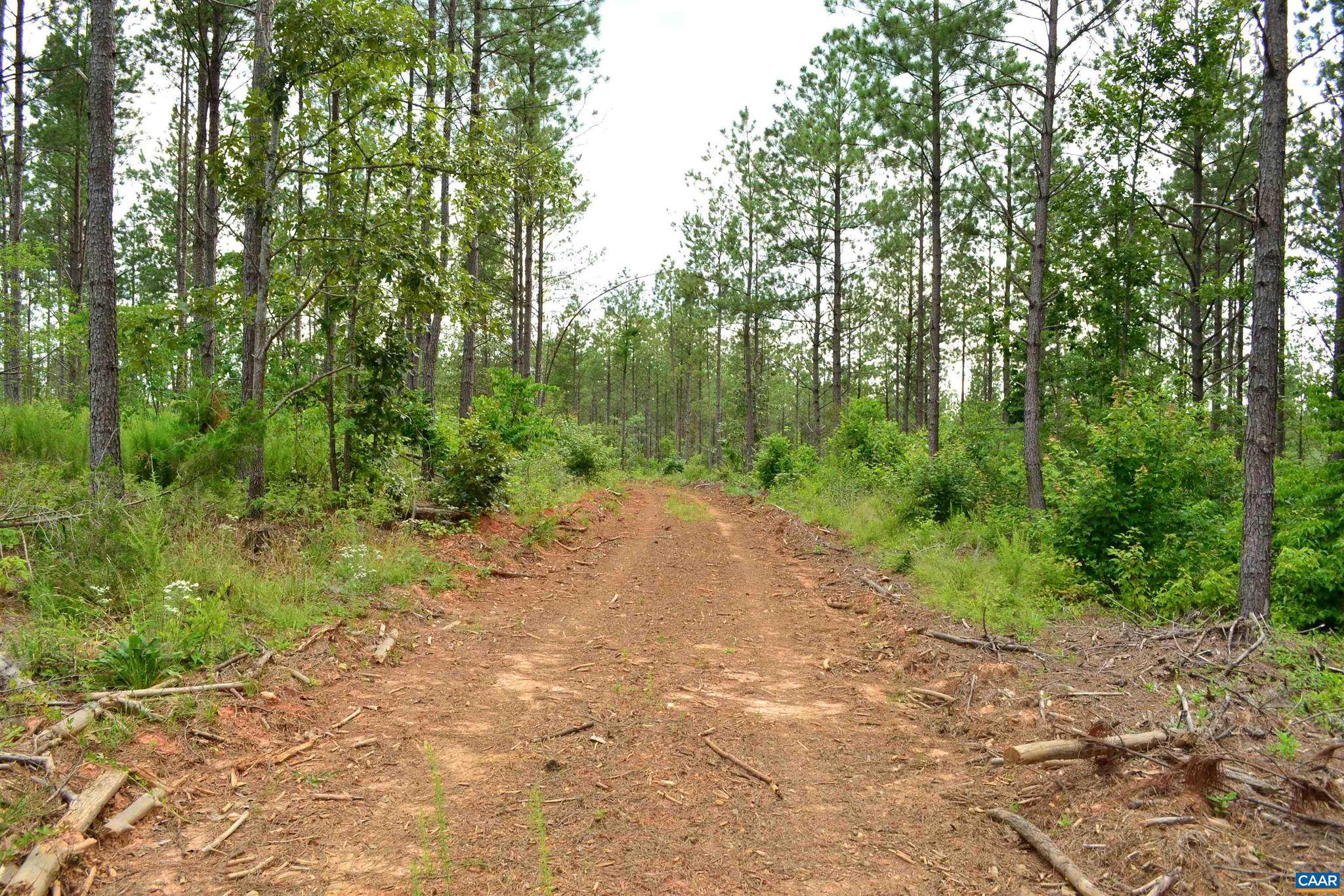 Arvonia, VA 23004,LOT 3 TBA MELITA RD #3