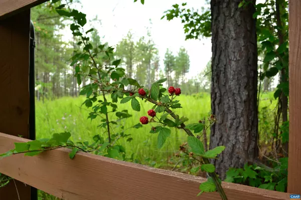 Arvonia, VA 23004,LOT 3 TBA MELITA RD #3