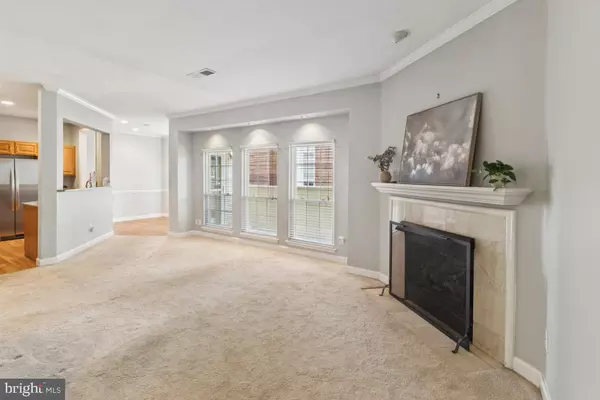 Leesburg, VA 20175,678 GATEWAY DR SE #907