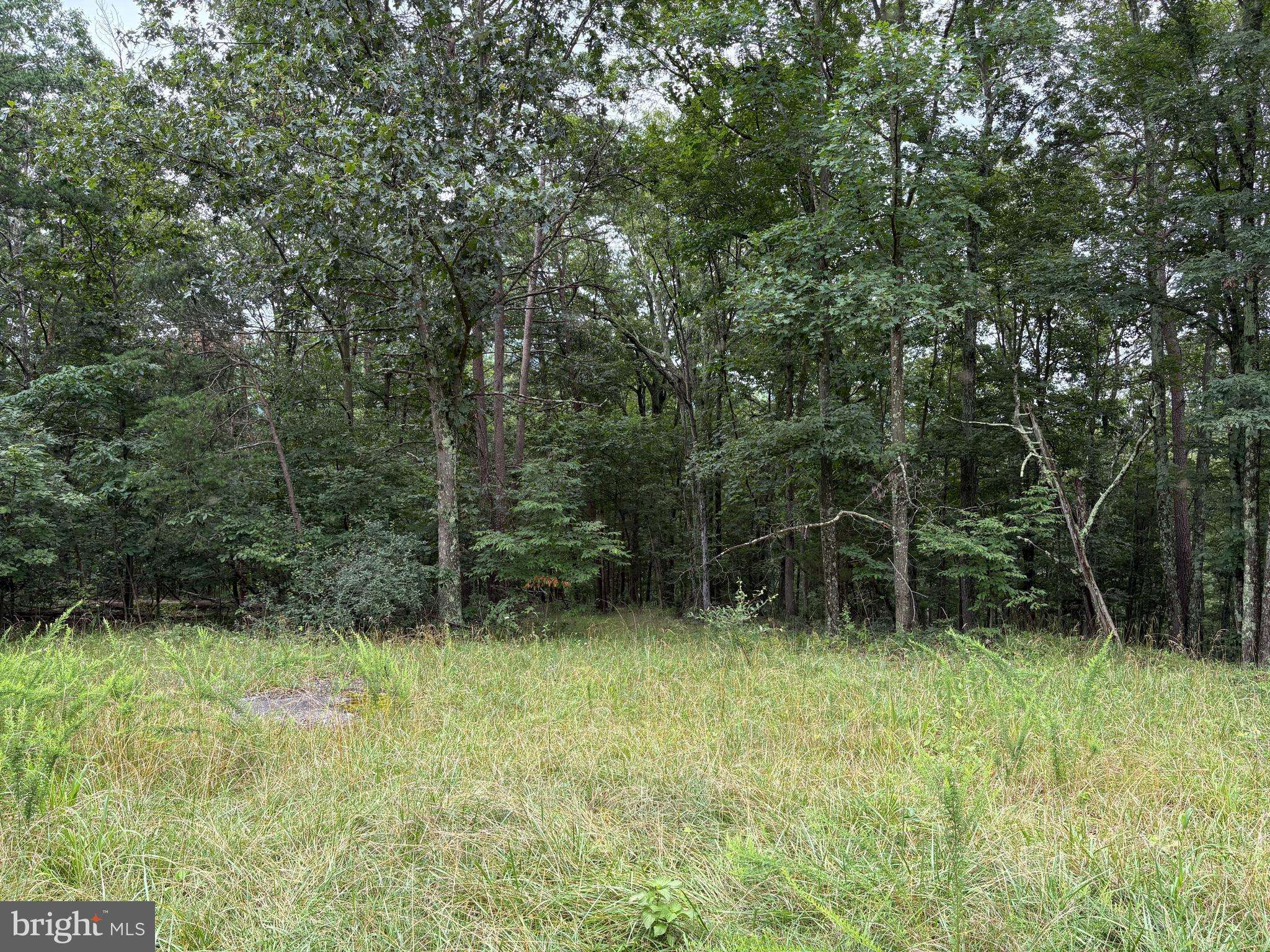 9.31 AC PINE TREE DR, Bloomery, WV 26817
