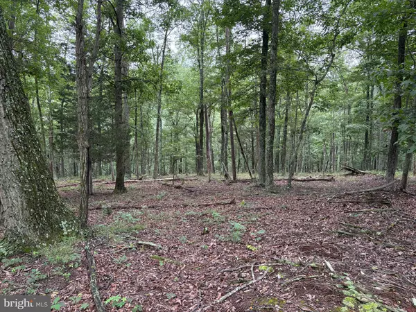 Bloomery, WV 26817,9.31 AC PINE TREE DR