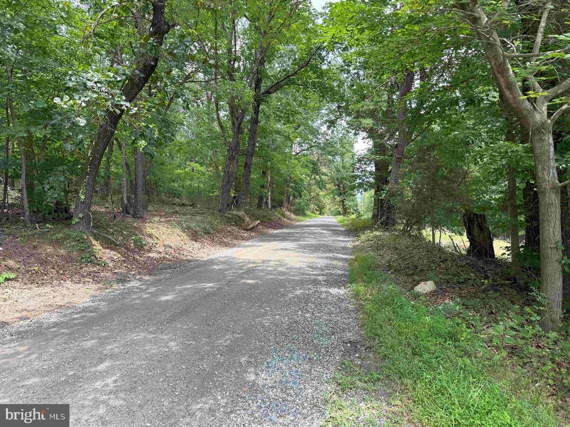 TURNPIKE (RT. 602) (TRACT: GIANNINI), Scottsville, VA 24590