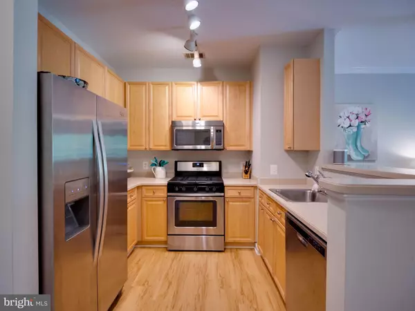 Vienna, VA 22181,9480 VIRGINIA CENTER BLVD #106