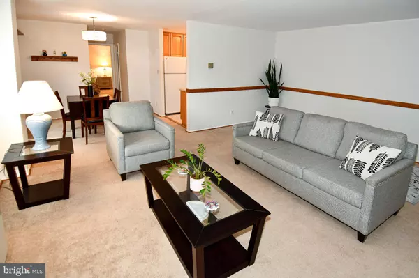 Arlington, VA 22204,1519 S GEORGE MASON DR #10