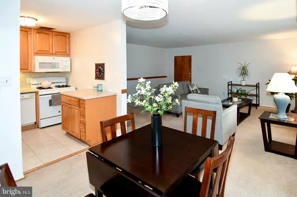 Arlington, VA 22204,1519 S GEORGE MASON DR #10