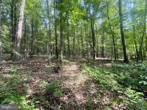 Saxton, PA 16678,00 BRUMBAUGH CEMETARY ROAD