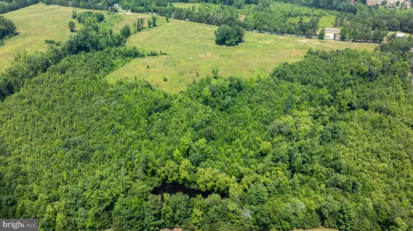 Alton, VA 24520,TBD PINEY GROVE ROAD #LOT 20