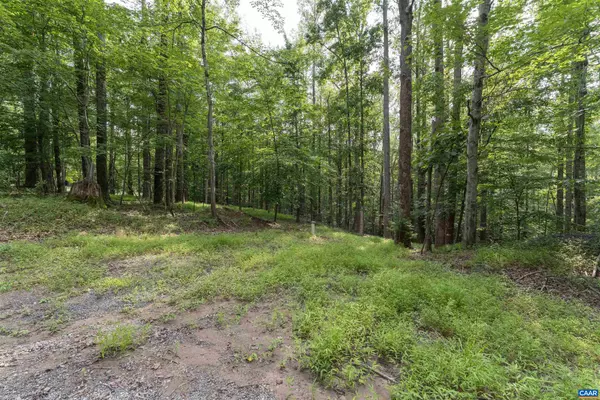 Charlottesville, VA 22901,TBD DECCA LN