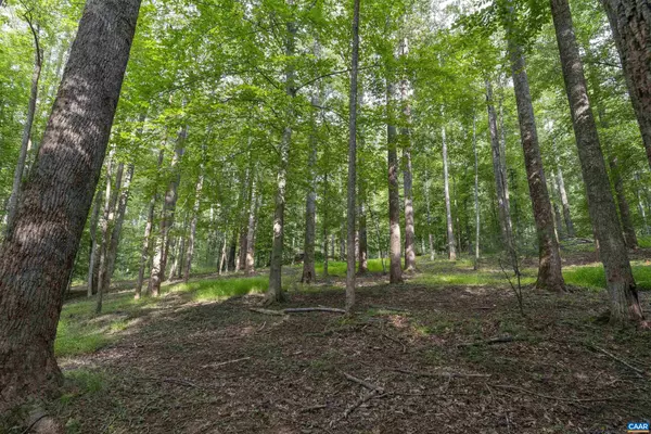 Charlottesville, VA 22901,TBD DECCA LN