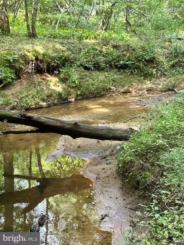 Rixeyville, VA 22737,PARCEL 6-22A BLACK HILL RD.