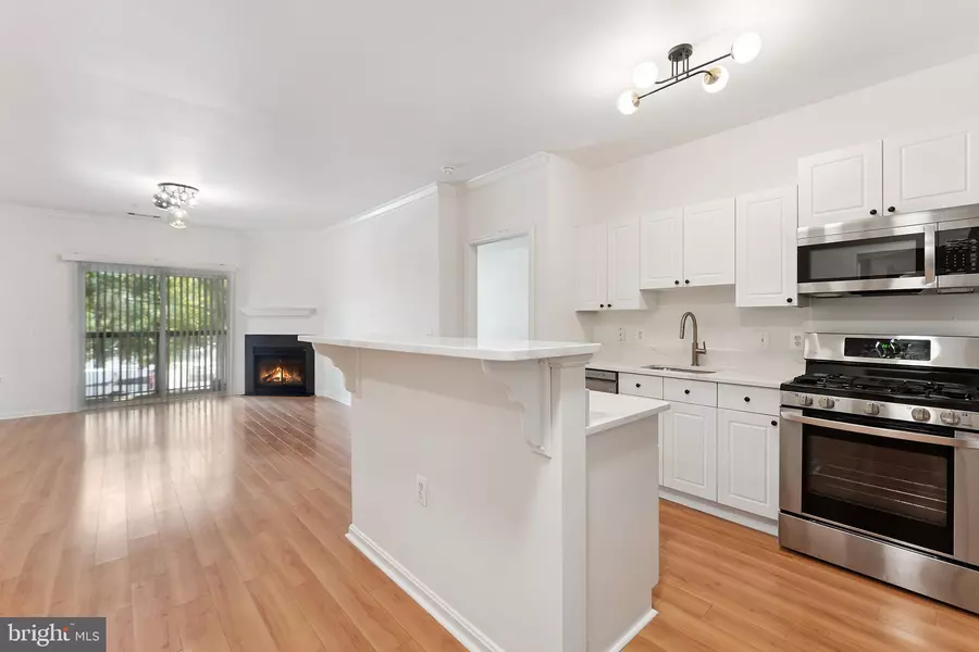 3851 ARISTOTLE CT #1-317, Fairfax, VA 22030