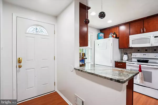 Reston, VA 20194,1617 PURPLE SAGE DR