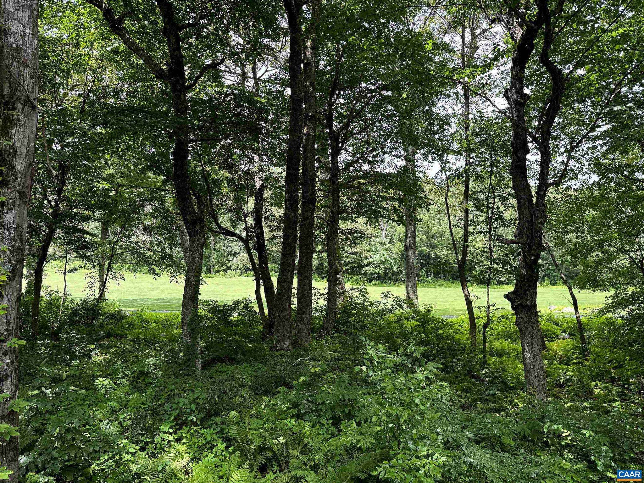Wintergreen Resort, VA 22967,74 GRAY BIRCH LN