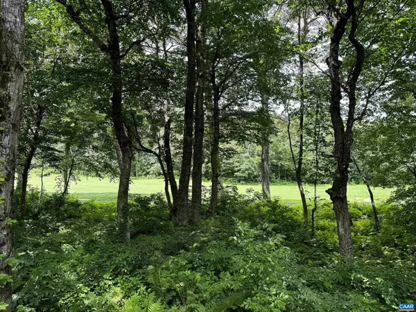 Wintergreen Resort, VA 22967,74 GRAY BIRCH LN