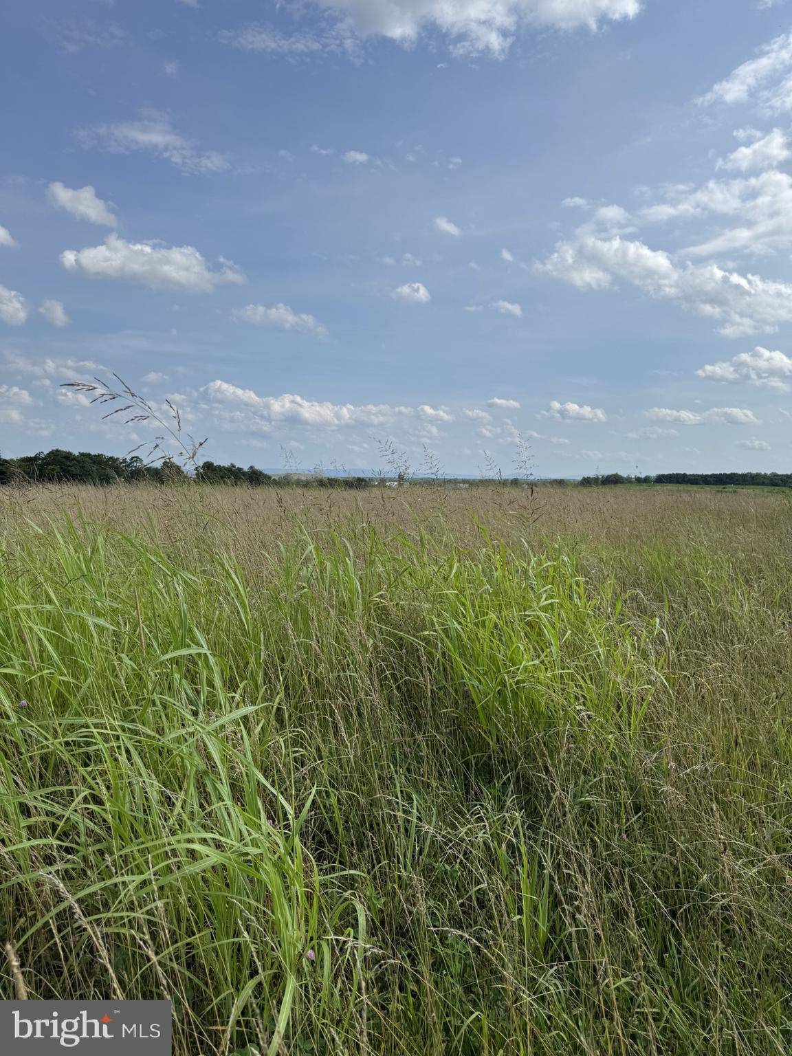 Clear Brook, VA 22624,LOT 2 GLEBE DR