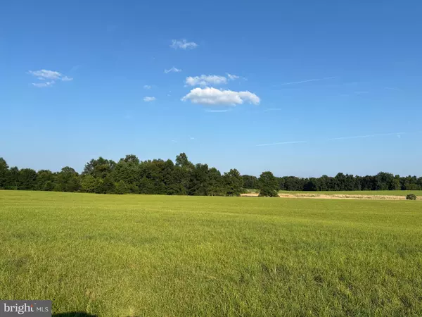 Taneytown, MD 21787,CROUSE MILL RD