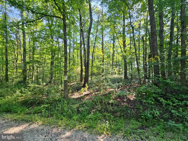 Buckingham, VA 23921,0 SYCAMORE CREEK RD