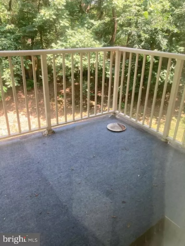 Alexandria, VA 22303,5707 INDIAN CT #29