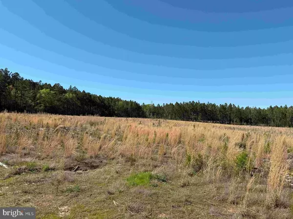 Mc Kenney, VA 23872,CHERRY HILL RD. (RT. 609) (TRACT:7266 D. PLECKLER)