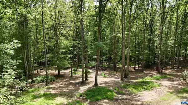 Schuyler, VA 22969,N-74 SALEM RD #61-A-33F