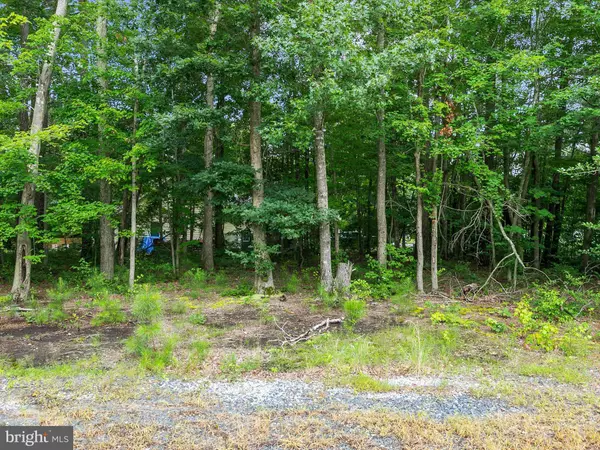 Selbyville, DE 19975,35961 COLLINS LN