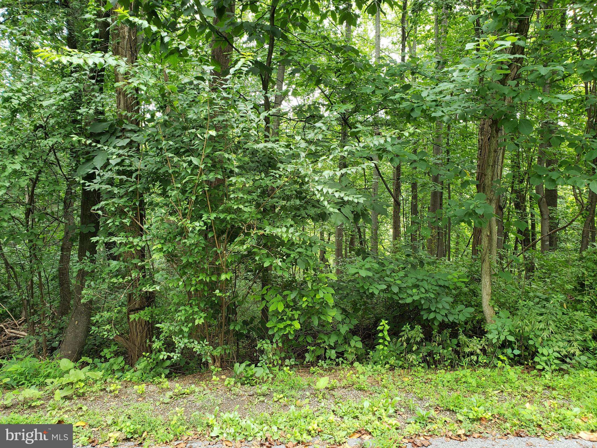 Front Royal, VA 22630,LOTS 1-2 BLACKBIRD WAY