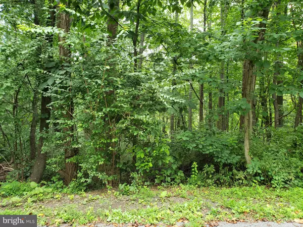 Front Royal, VA 22630,LOTS 1-2 BLACKBIRD WAY