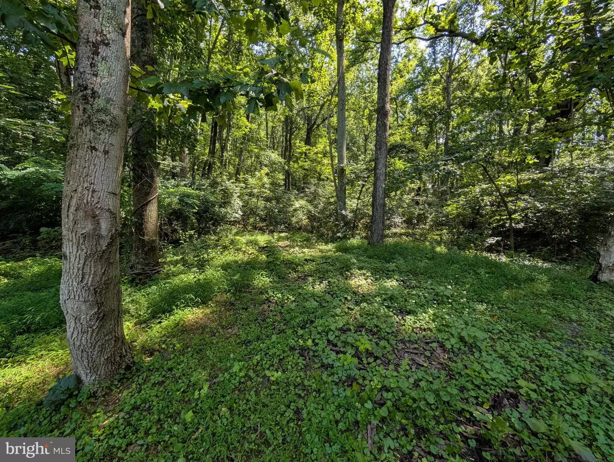 Front Royal, VA 22630,LOTS 83-84 ORIOLE CT