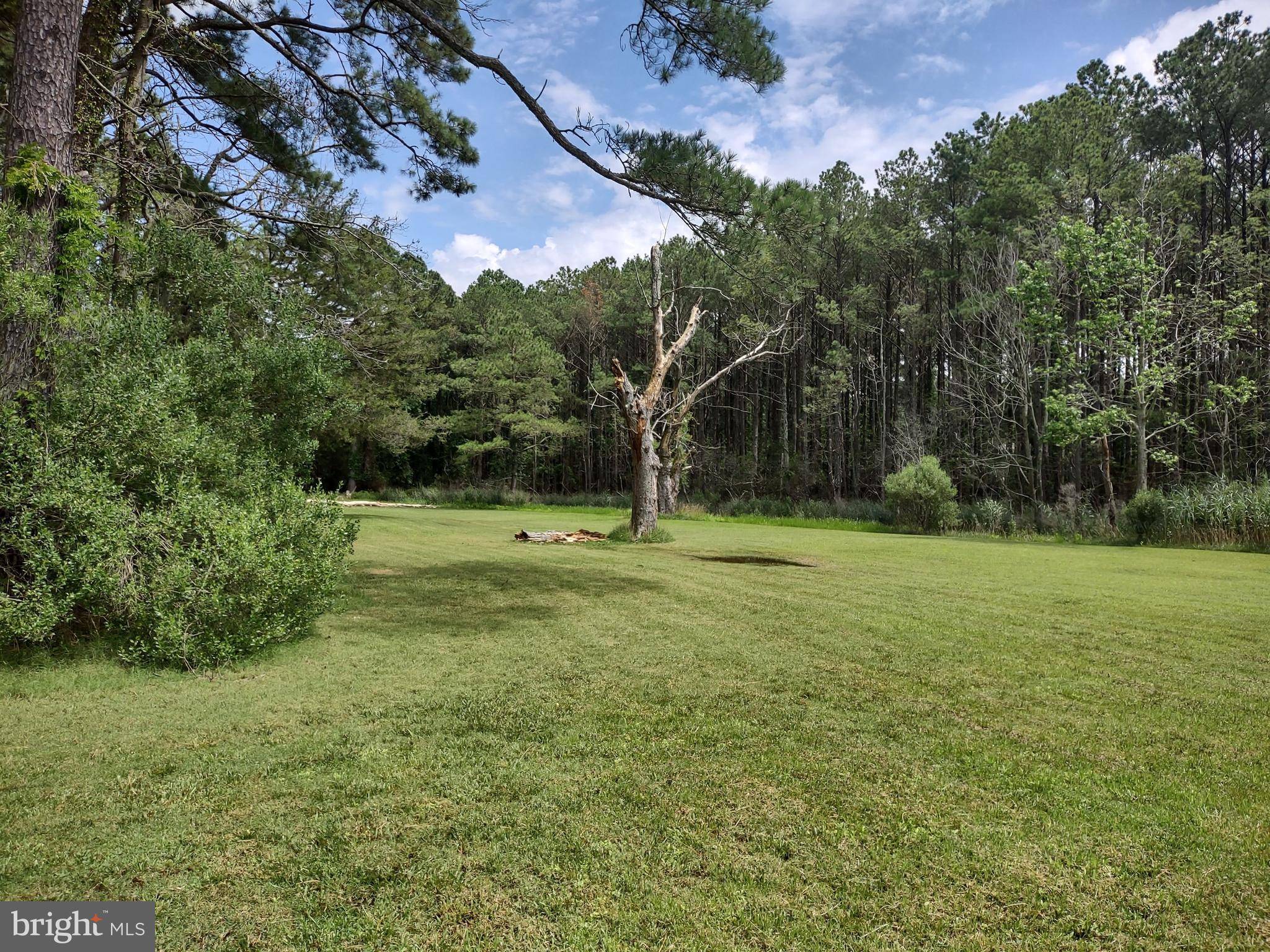 Crisfield, MD 21817,3175 BOONE RD