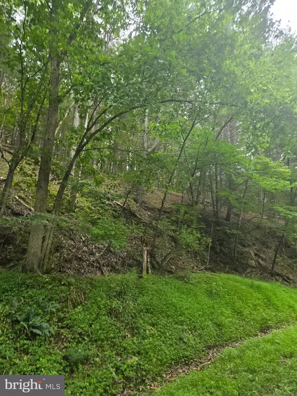 Berkeley Springs, WV 25411,MOUNTAIN RUN ROAD