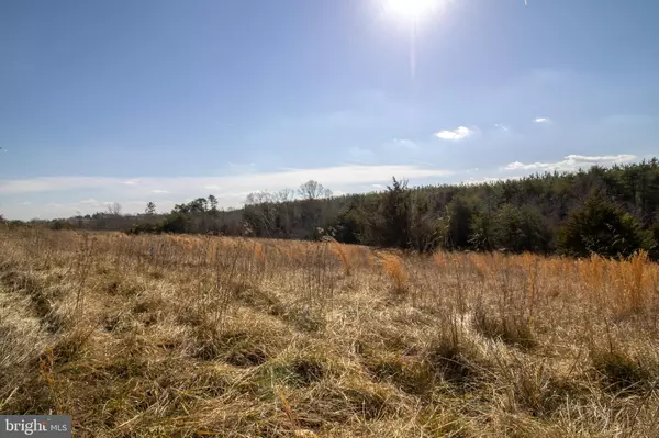 Altavista, VA 24517,TBD TARDY MOUNTAIN ROAD #7