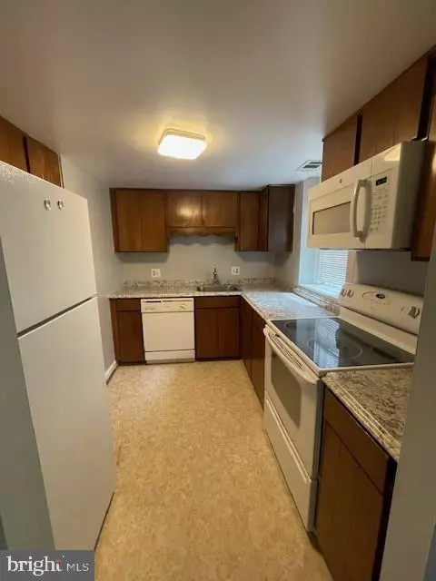 Arlington, VA 22206,2960 S COLUMBUS ST #B2