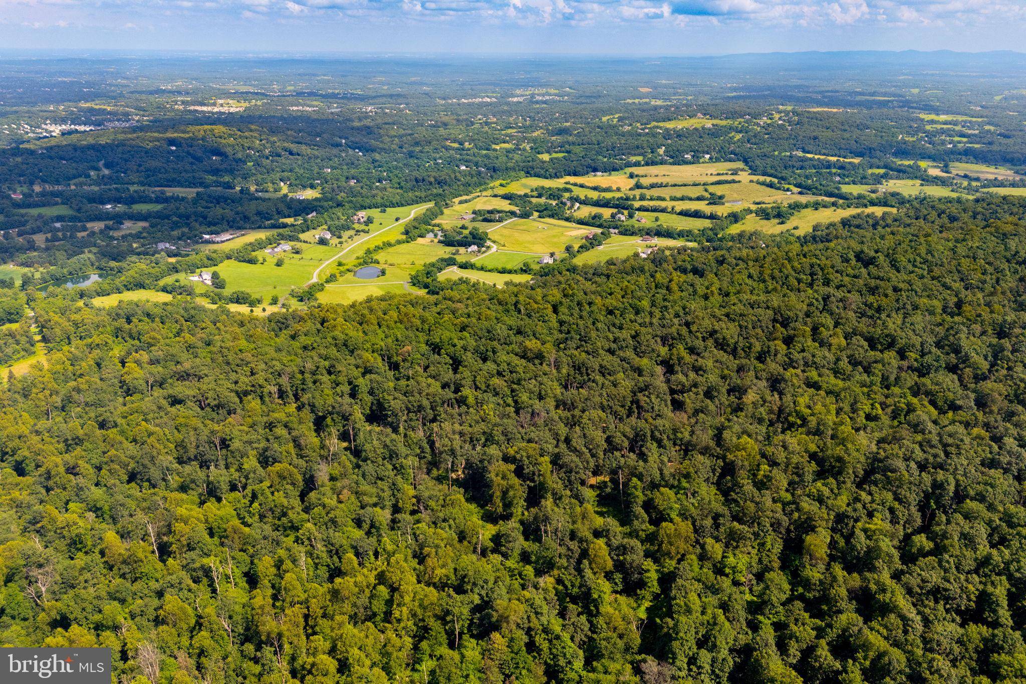 Round Hill, VA 20141,TREE CROPS LANE