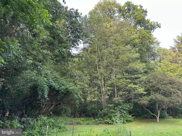 Pennsylvania Furnace, PA 16865,TADPOLE ROAD