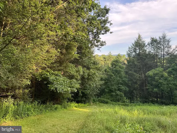 Pennsylvania Furnace, PA 16865,TADPOLE ROAD
