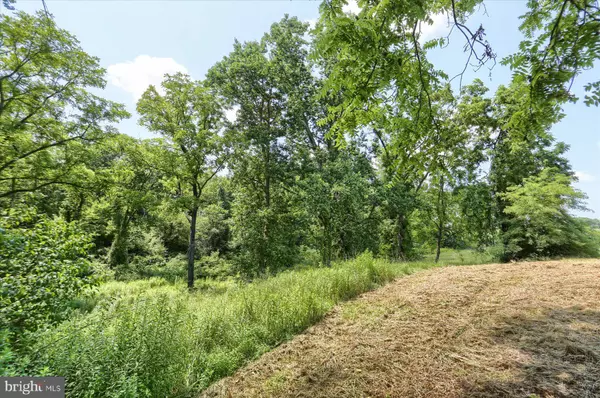 Duncannon, PA 17020,15 BLACKSNAKE RD