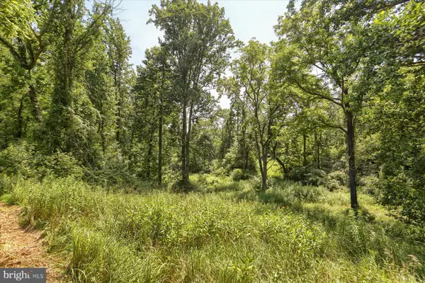 Duncannon, PA 17020,15 BLACKSNAKE RD